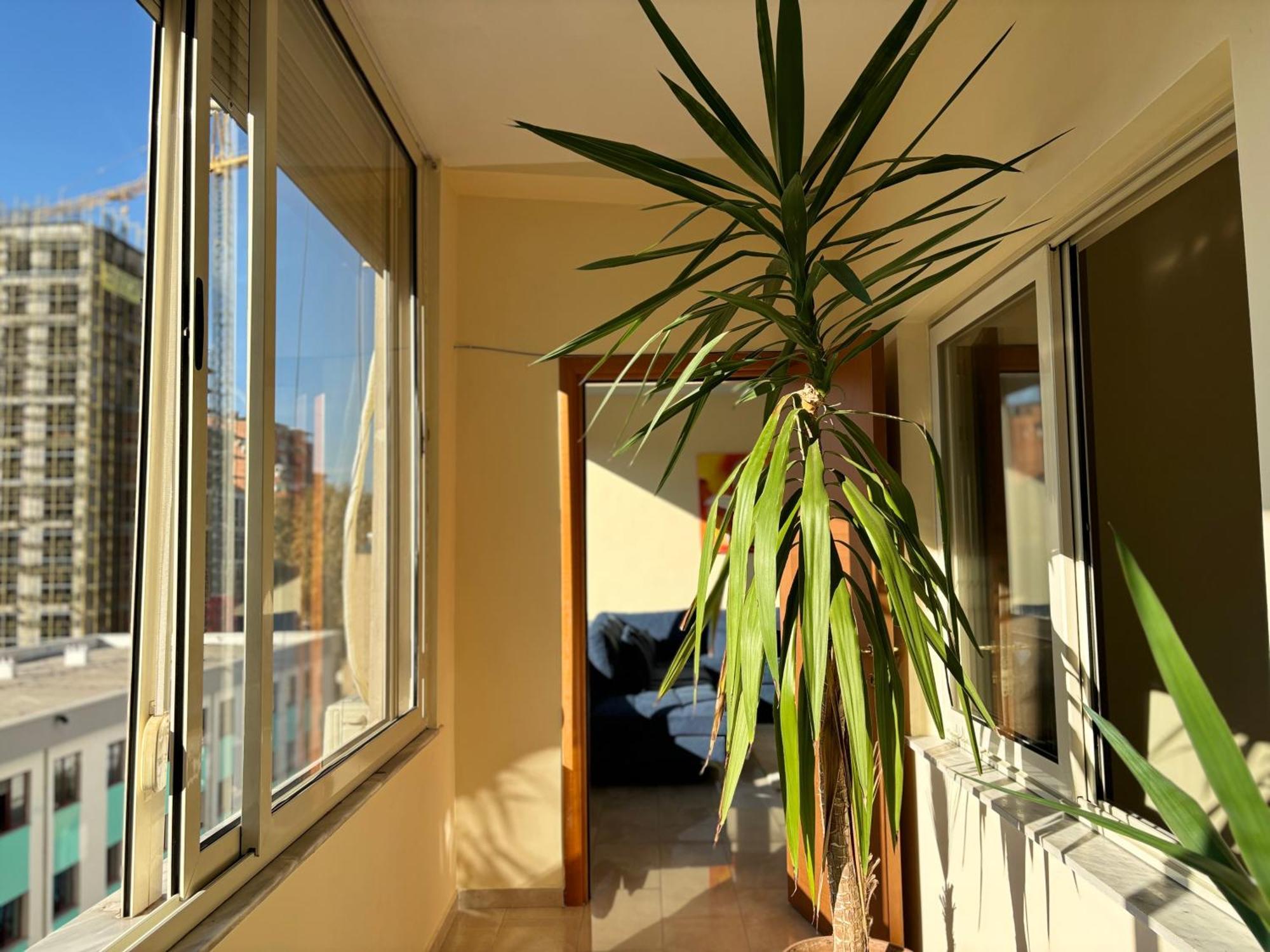 Tam 2Bdr Center Taiwan Apartment Тирана Екстериор снимка
